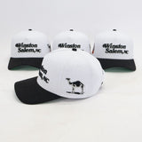 SPECIAL EDITION Winston Salem NC Snapback